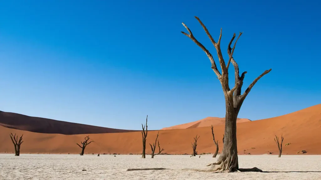 Namib-Naukluft Park