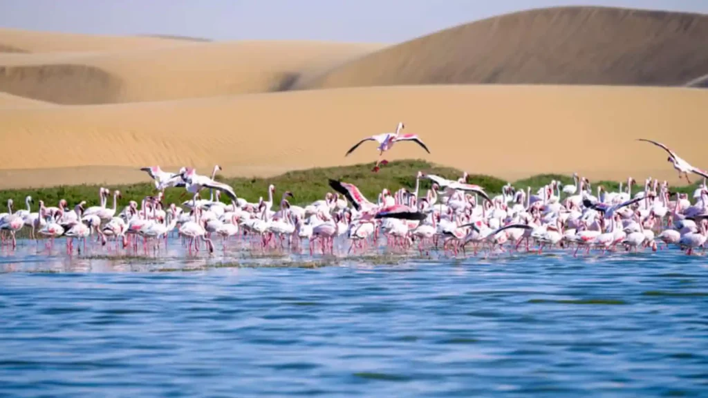 Skeleton Coast Park