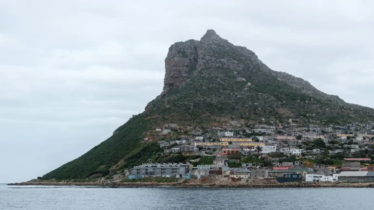 Table Mountain National Park