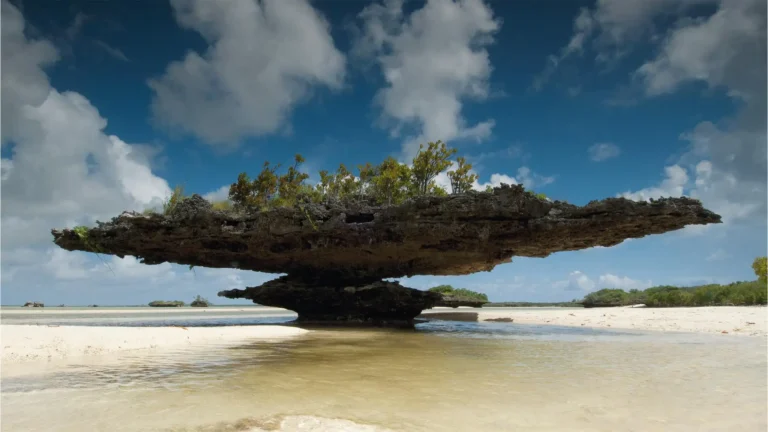 Aldabra Atoll