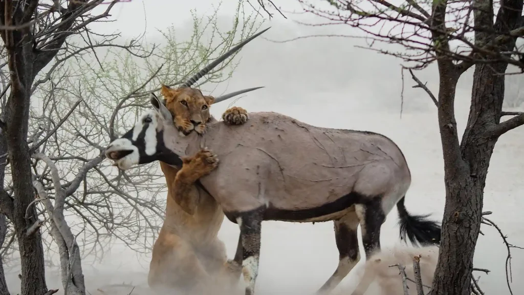 Central Kalahari Game Reserve