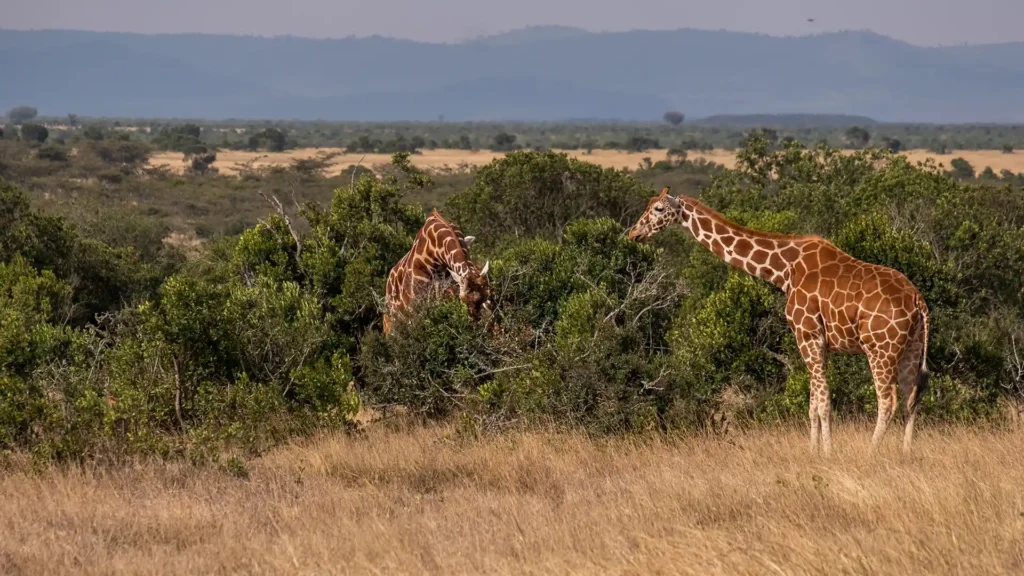 Chizarira National Park