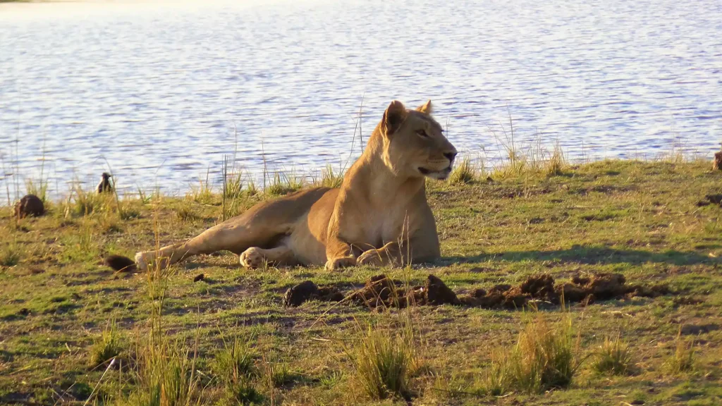 Chobe National Park