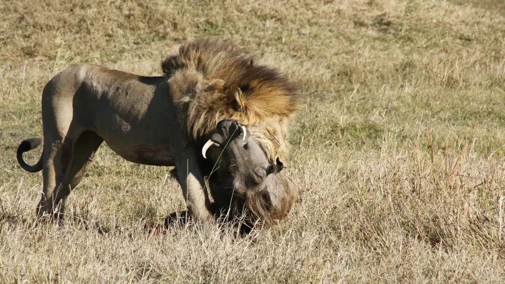 Chobe National Park