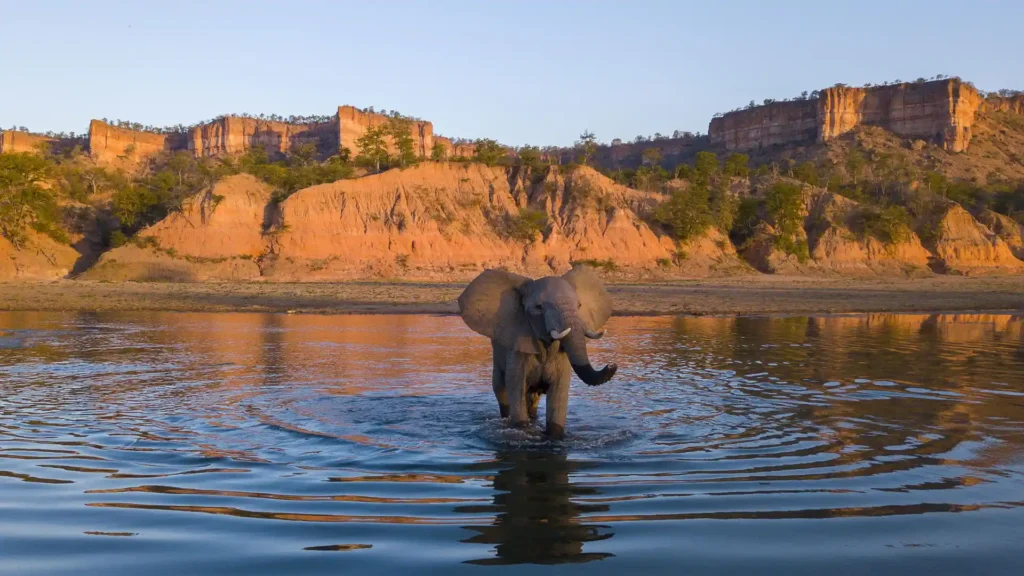 Gonarezhou National Park