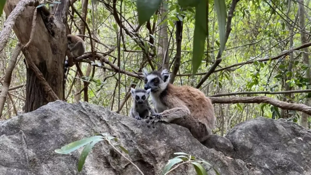 Isalo National Park