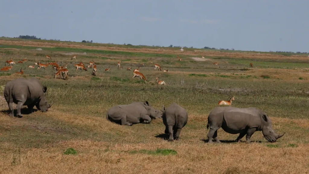 Khama Rhino Sanctuary