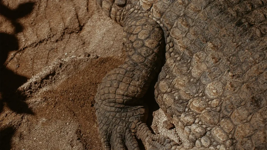 La Vanille Crocodile Park