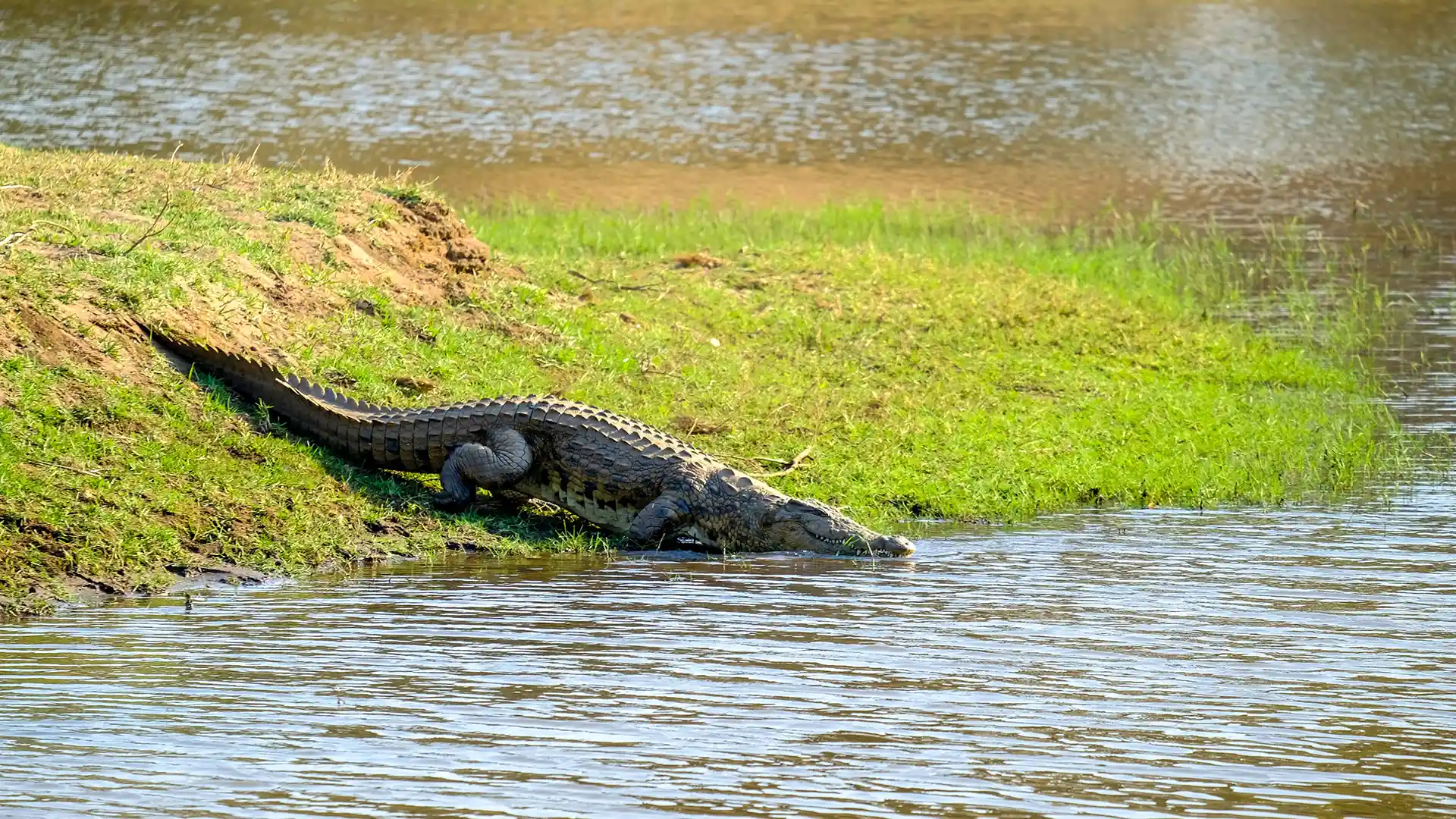 La Vanille Crocodile Park