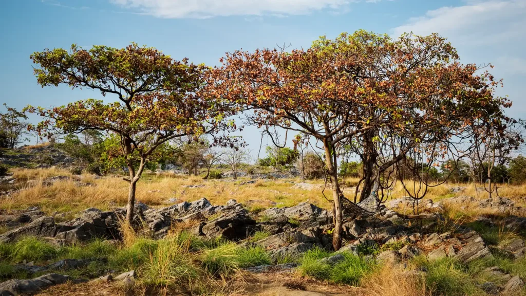 Makgadikgadi Pans