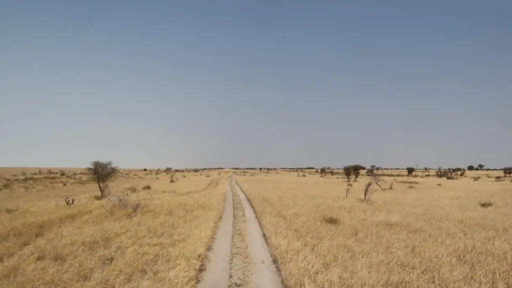 Makgadikgadi Pans