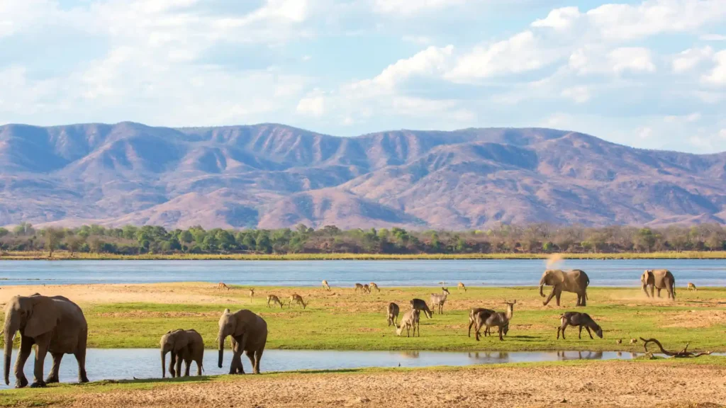 mana pools national park