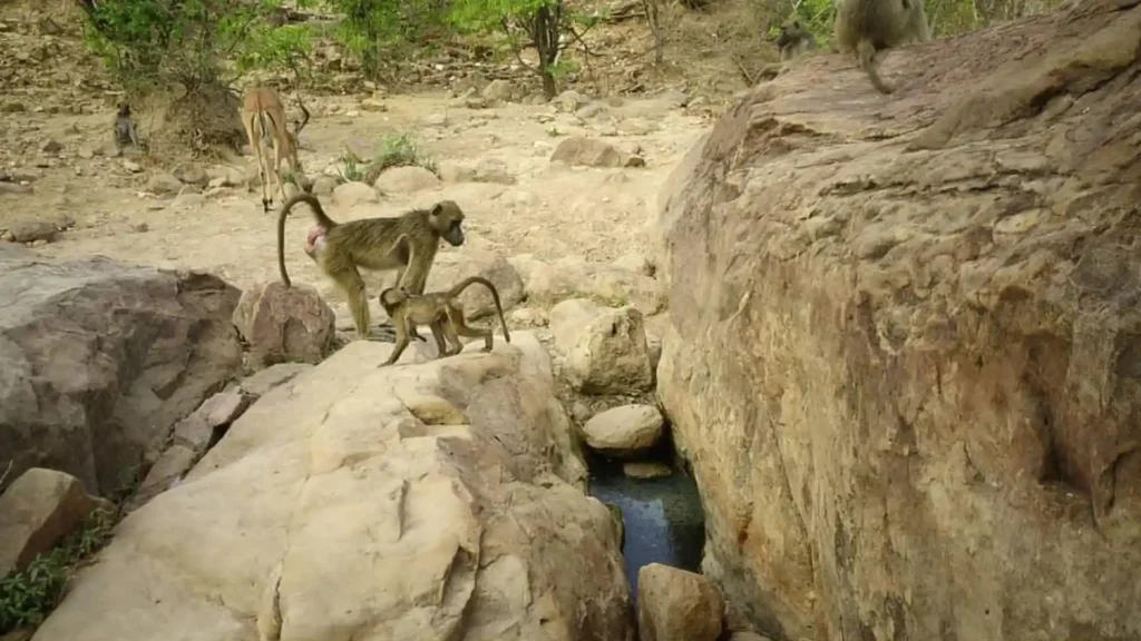 Matusadona National Park