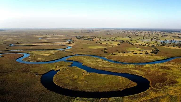 Okavango Delta