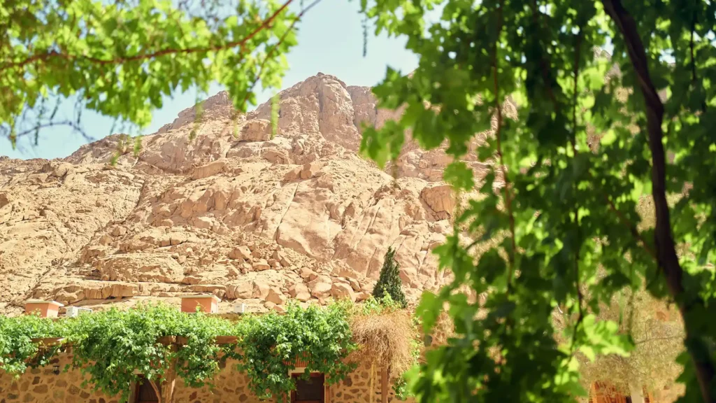 Saint Catherine_s Monastery