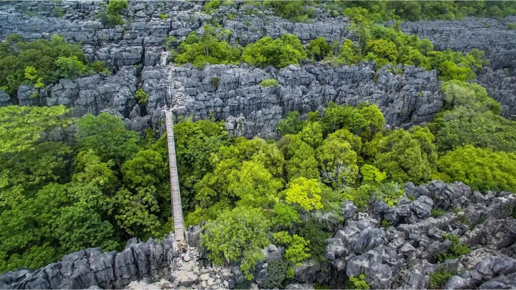 Tsingy de Bemaraha National Park