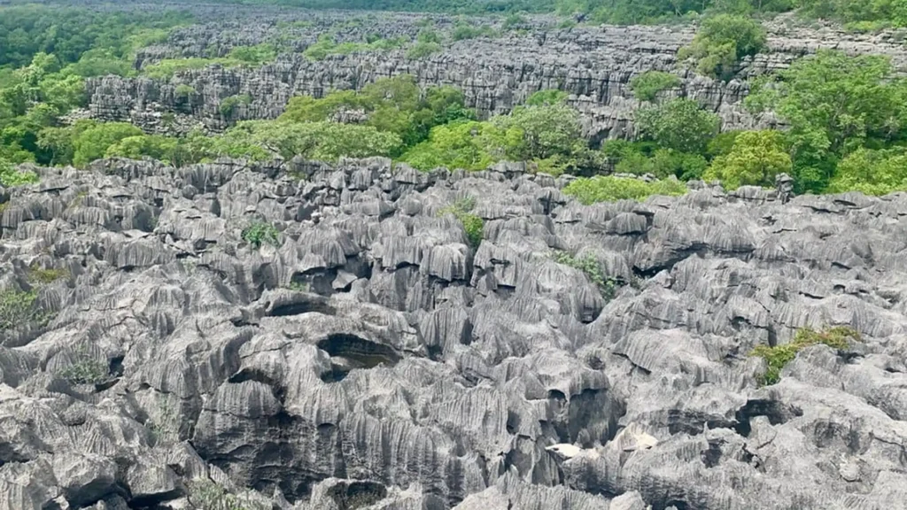 Tsingy de Bemaraha National Park