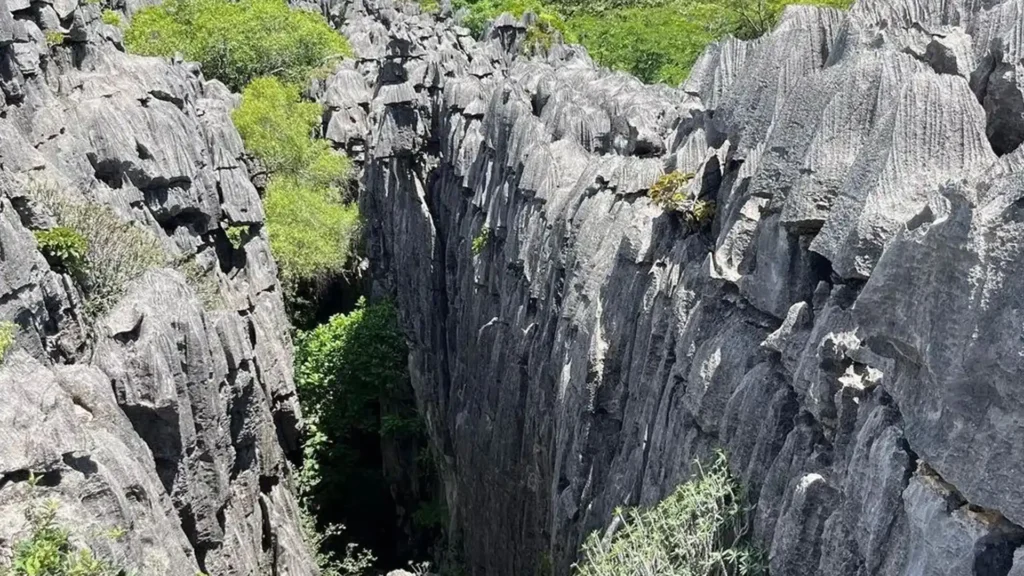 Tsingy de Bemaraha National Park