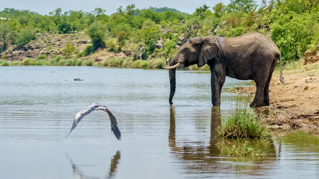 Zambezi National Park