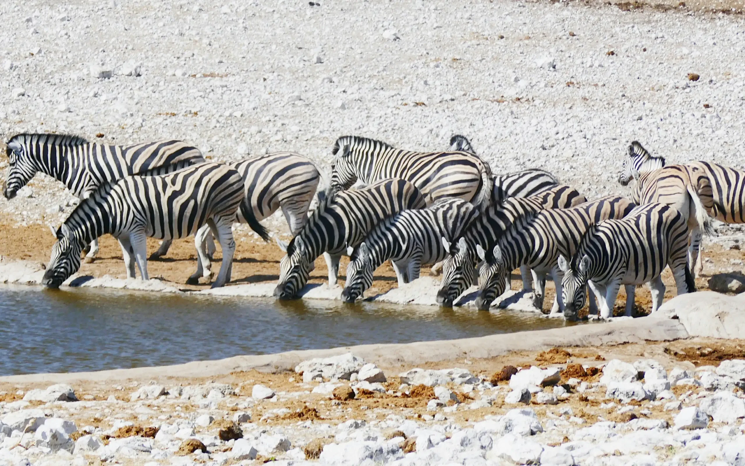 Etosha National Park