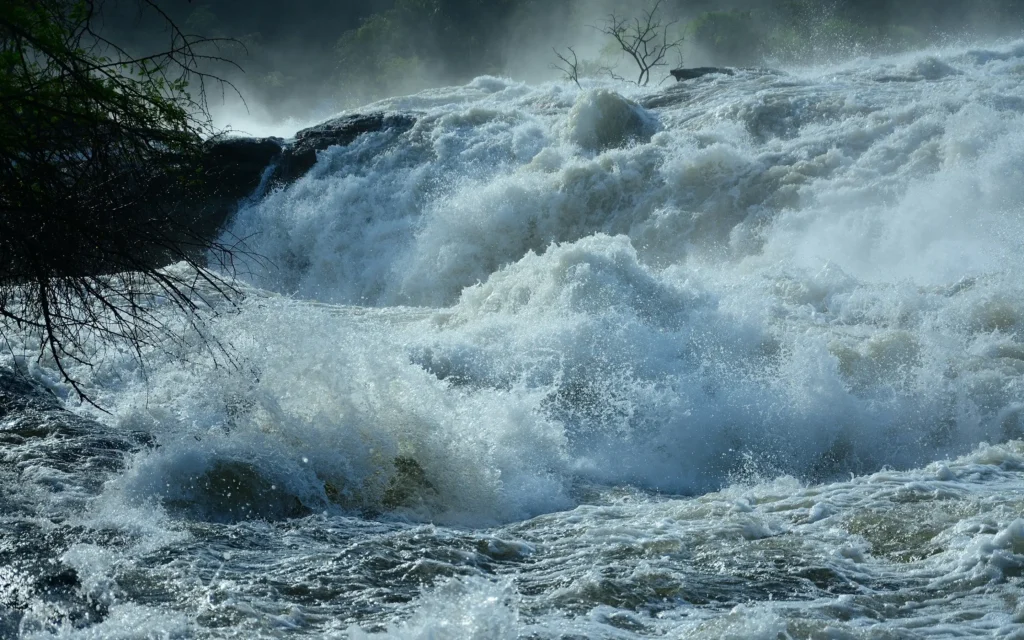 Murchison Falls National Park