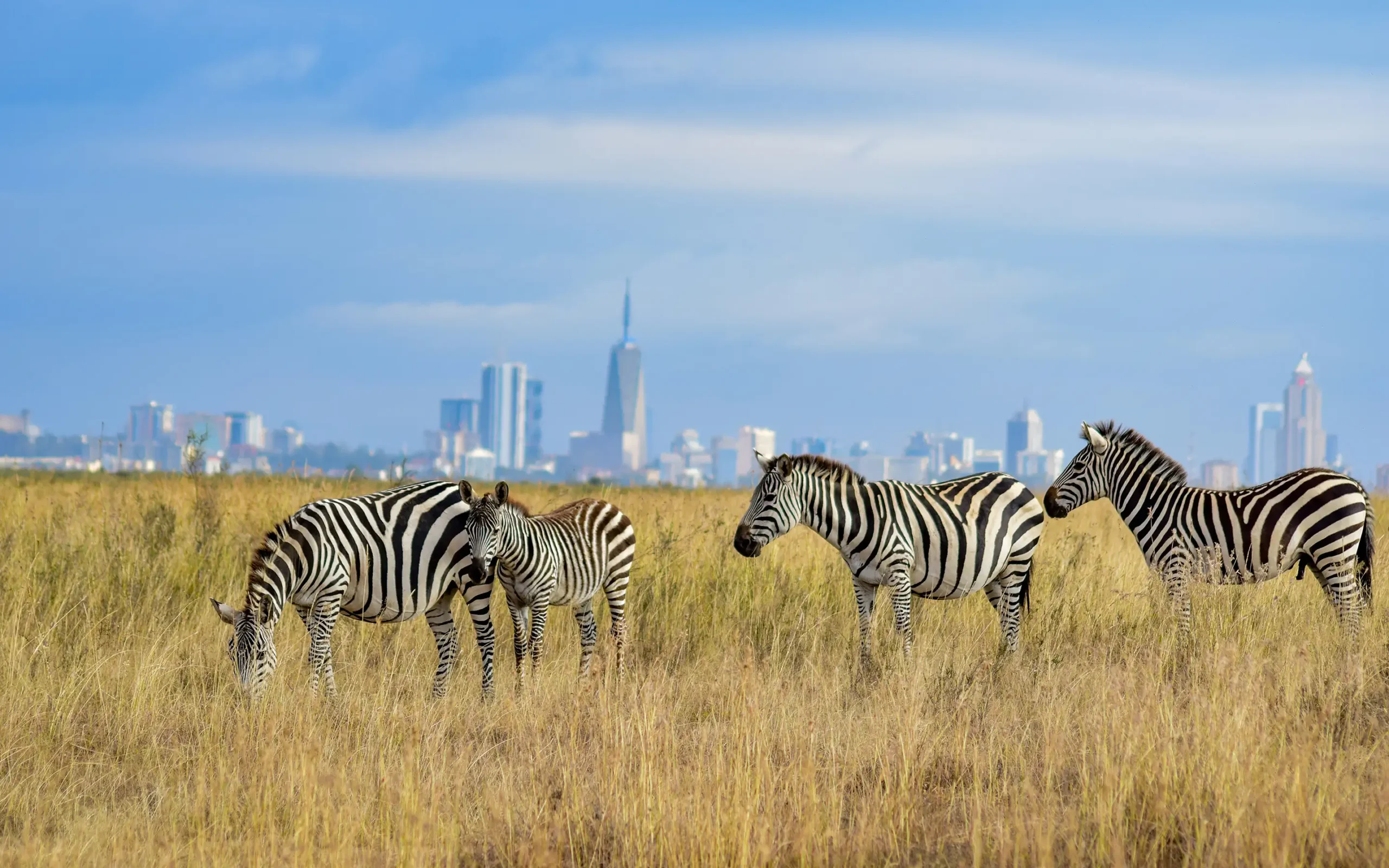 Nairobi National Park