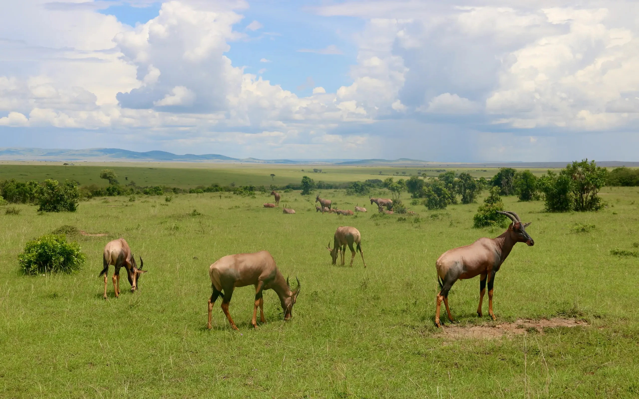 Ruma National Park