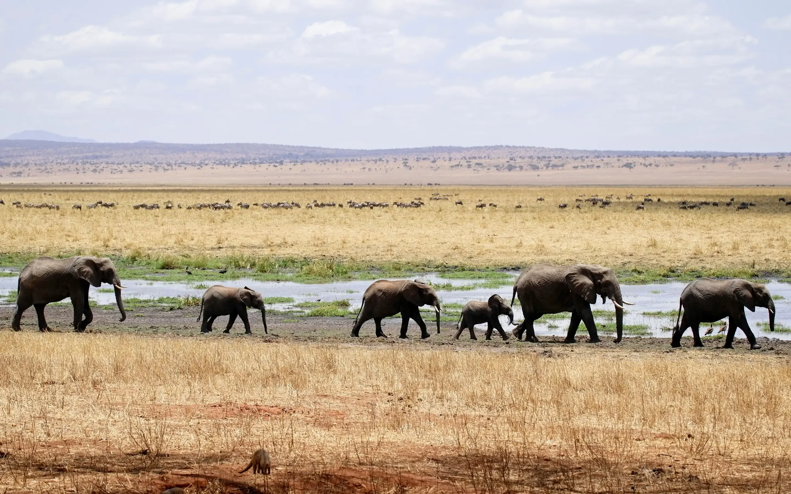 Tarangire National Park