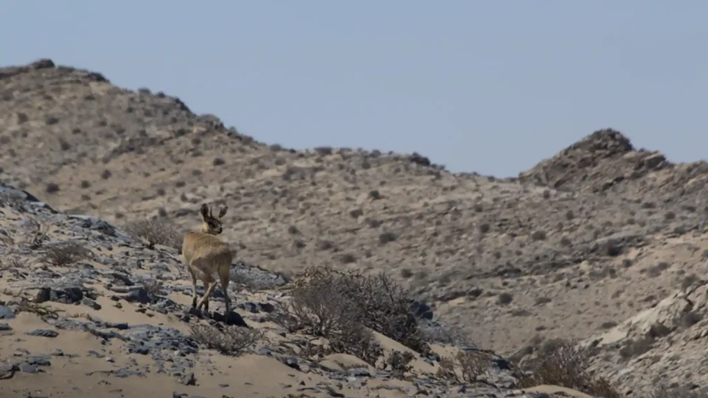 Tsau Khaeb National Park