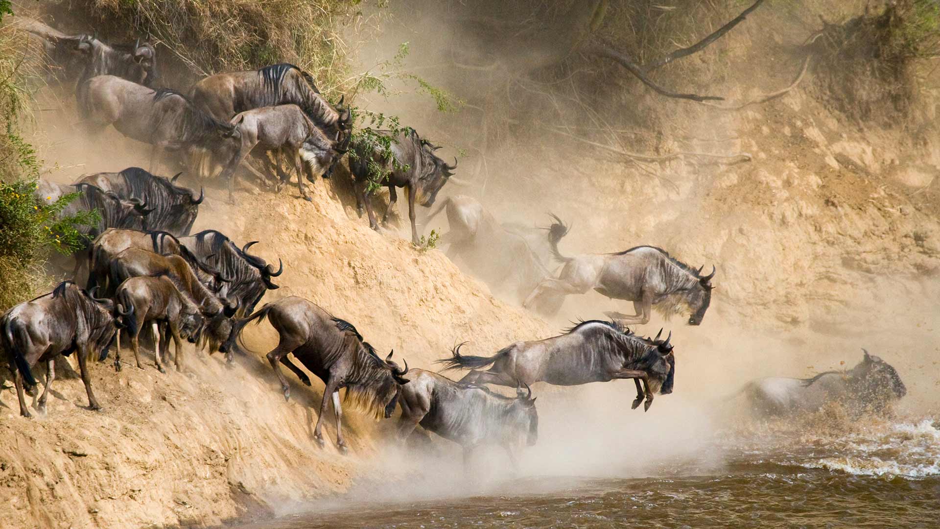 Serengeti National Park