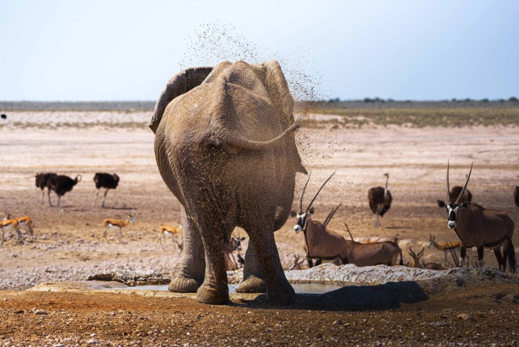 Etosha National Park