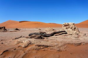 Namibia Travel Advice