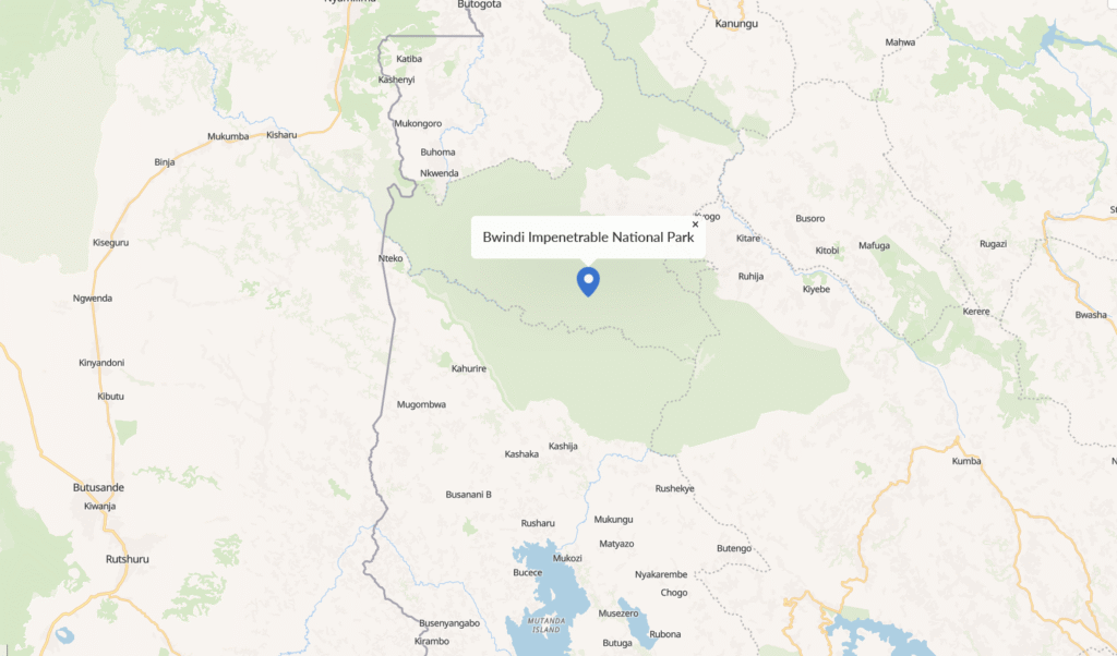 Bwindi Impenetrable