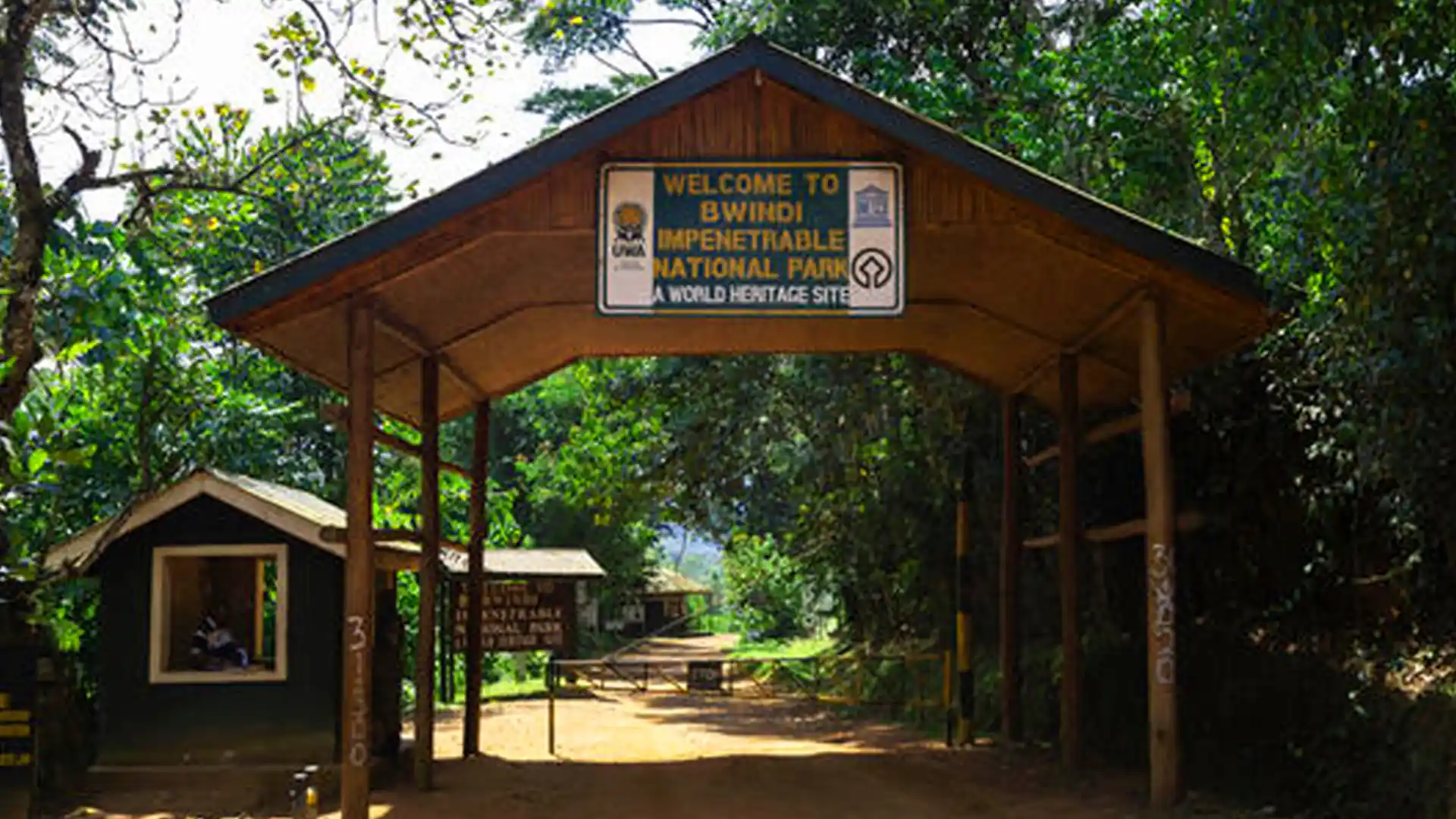 Bwindi Impenetrable National Park, Uganda