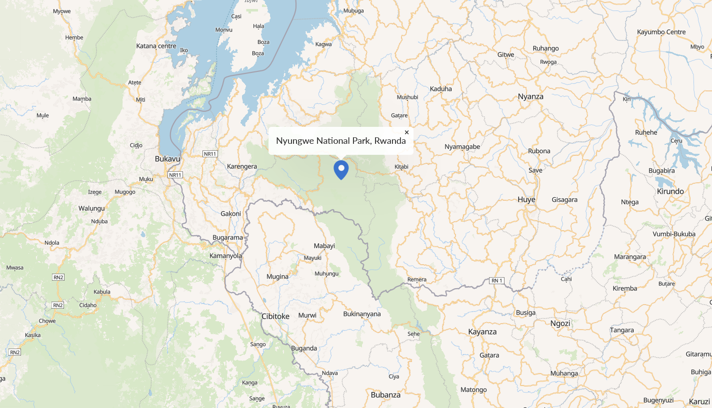 Nyungwe National Park