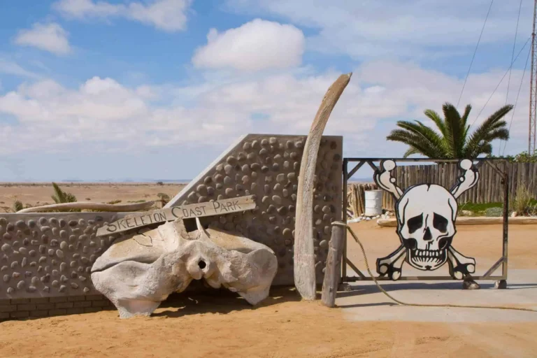 Skeleton-Coast-National-Park-National-Parks-In-Namibia-4