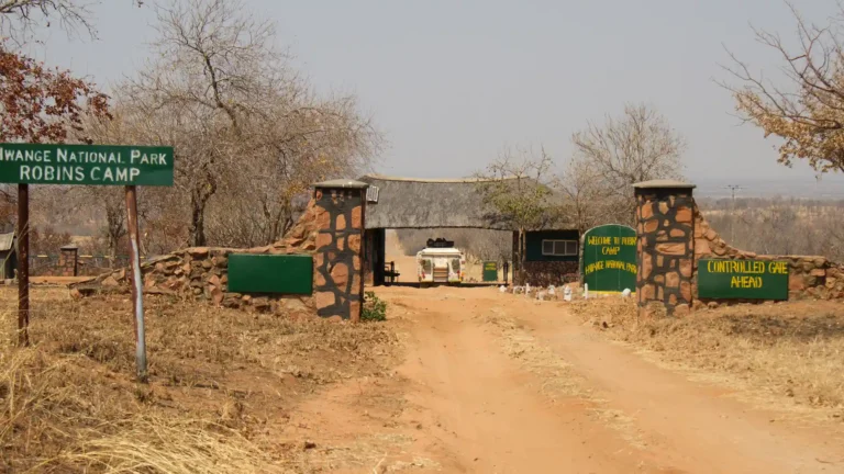 Hwange National Park, Zimababwe